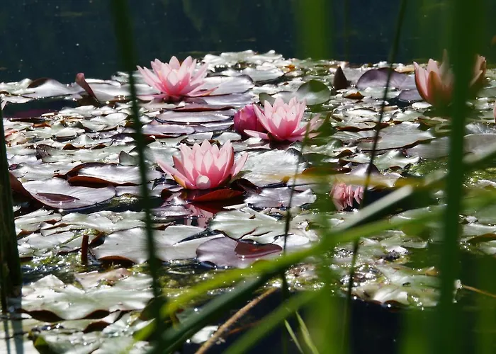 Guest house Holzknechthof Am Neustift im Stubaital
