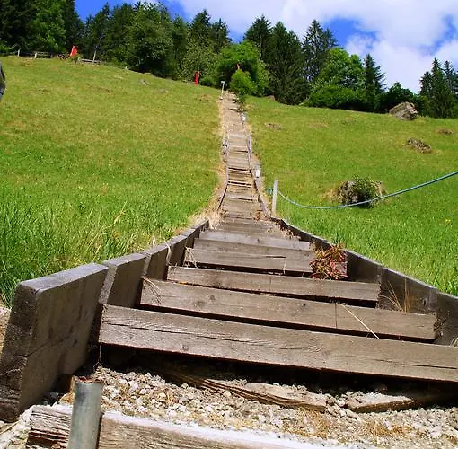 بيت ضيافة Holzknechthof Am