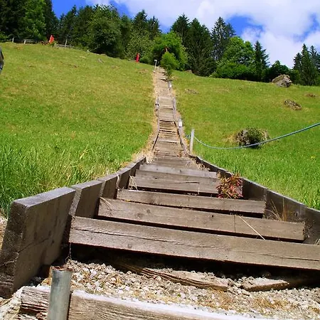 בית הארחה Holzknechthof Am
